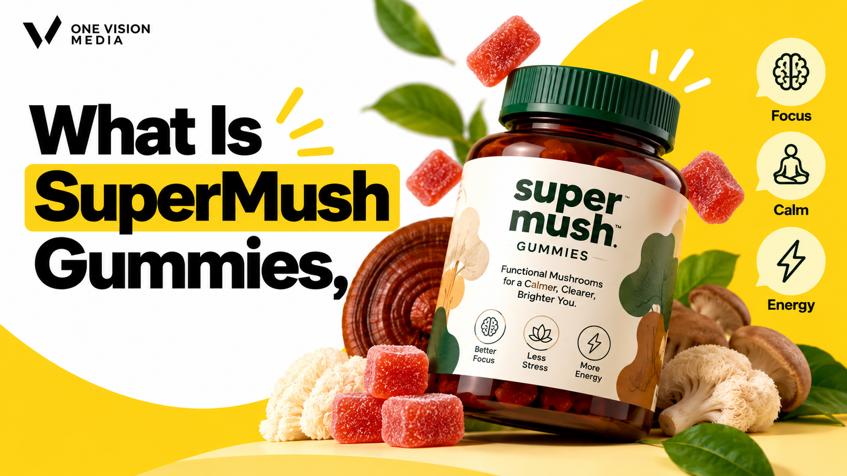 What Is SuperMush Funding, Founders & Business Model